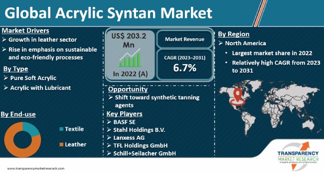 Acrylic Syntan Market