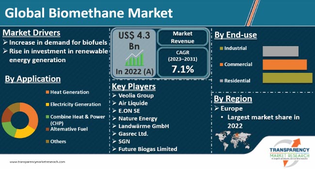 biomethane market