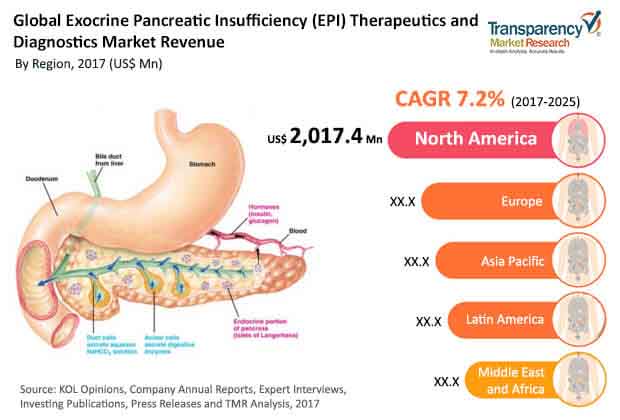 Exocrine Pancreatic Insufficiency Epi Therapeutics And Diagnostics Market Share Demand Insights And Forecast Up To 25 Teletype