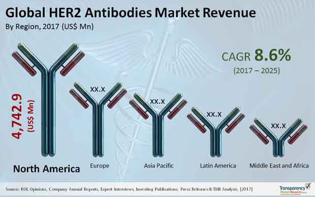 global her2 antibodies market