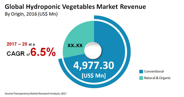 hydroponic vegetables market