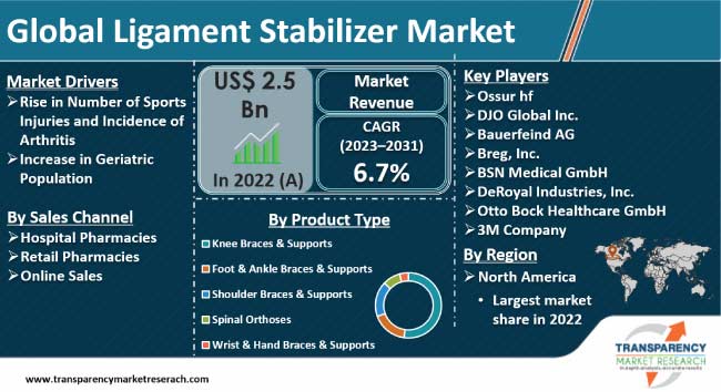 Ligament Stabilizer Market Size, Share, & Industry Growth - 2031