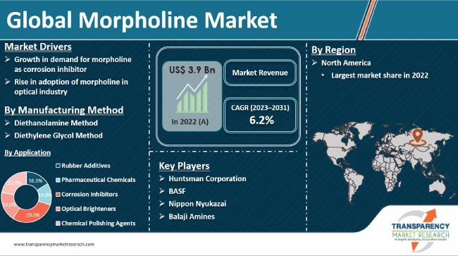 Morpholine Market