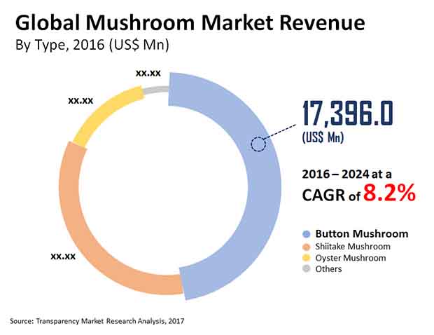 mushroom market